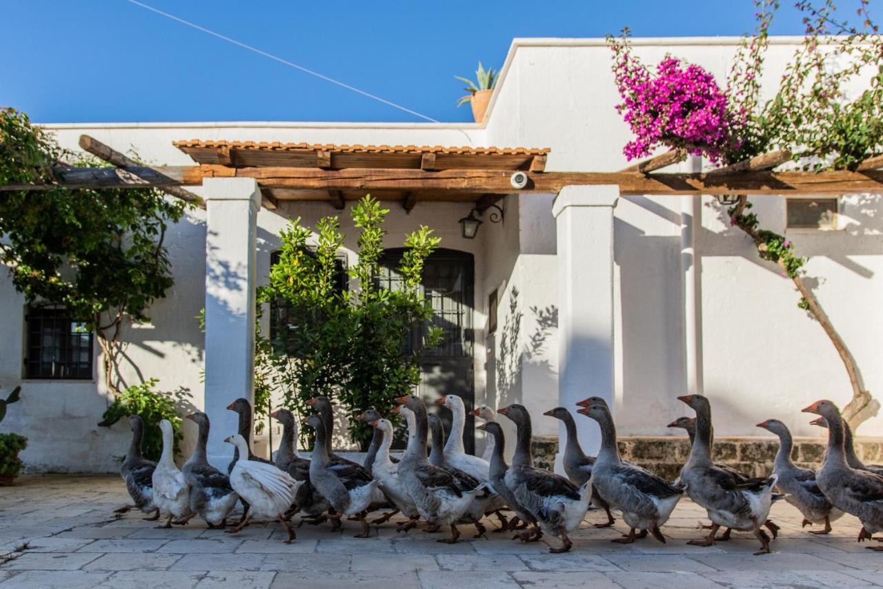Masseria Parco Di Castro Монтальбано Экстерьер фото