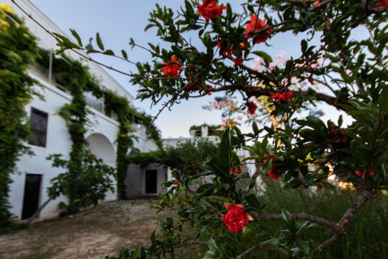 Masseria Parco Di Castro Монтальбано Экстерьер фото